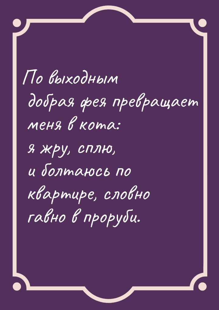 По выходным добрая фея превращает меня в кота: я жру, сплю, и болтаюсь по квартире, словно