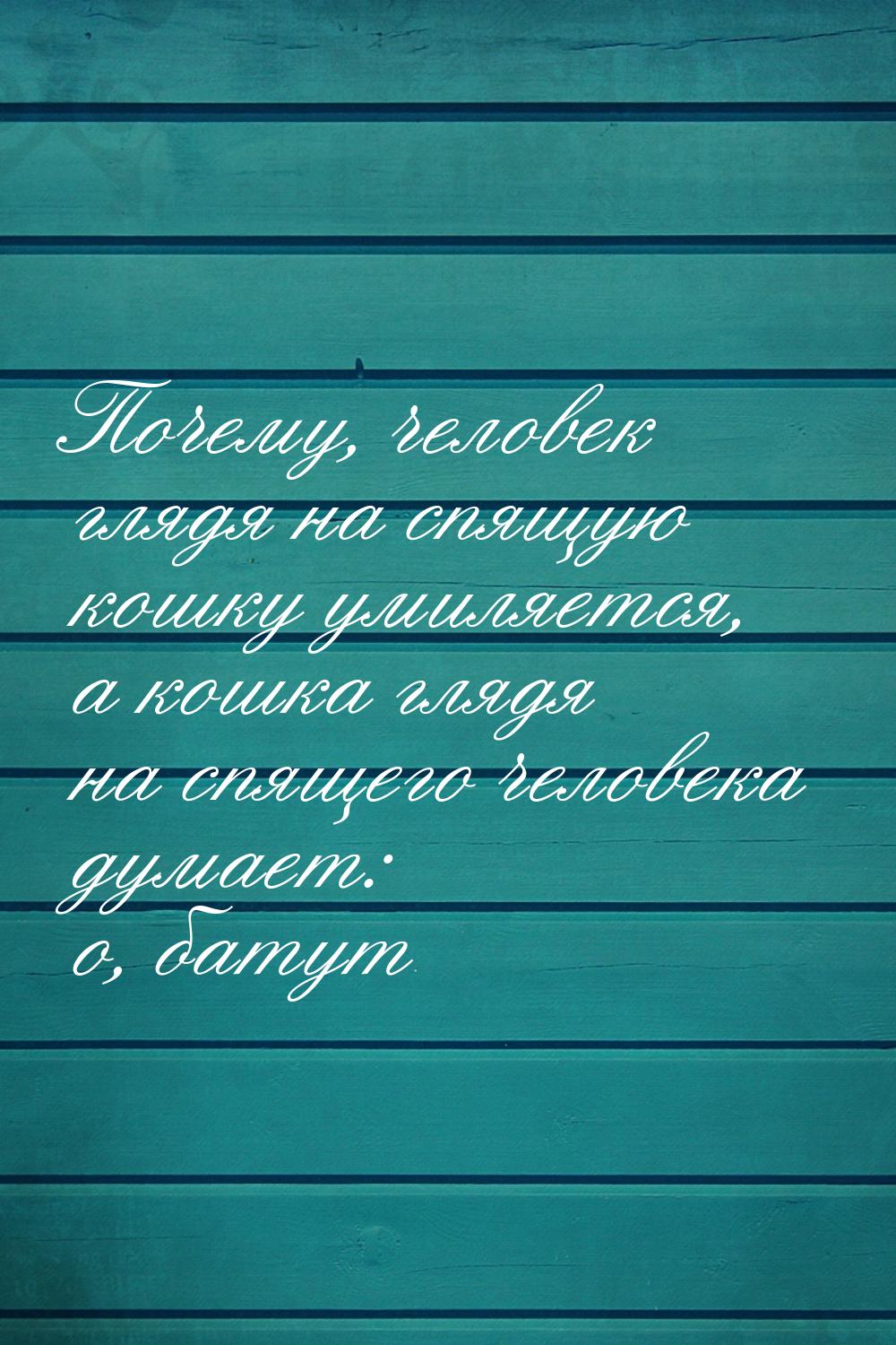 Почему, человек глядя на спящую кошку умиляется, а кошка глядя на спящего человека думает: