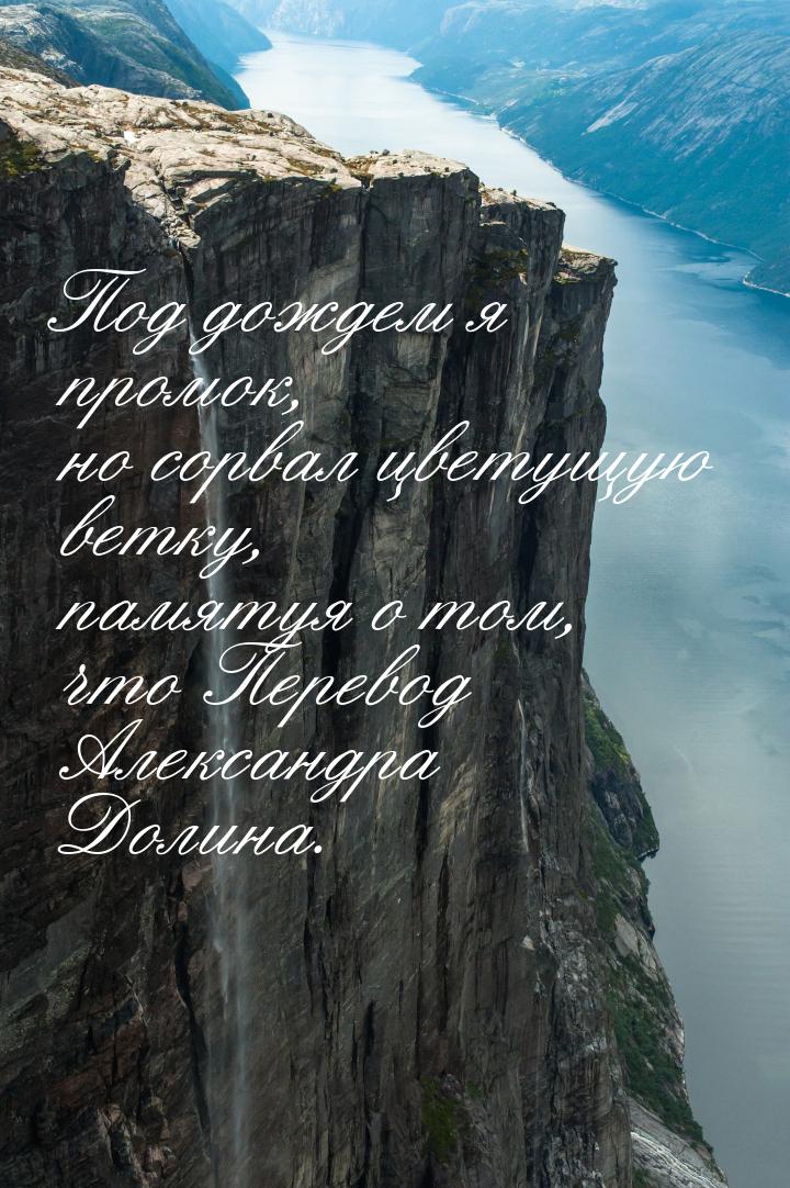 Под дождем я промок,  но сорвал цветущую ветку,  памятуя о том,  что Перевод Александра До