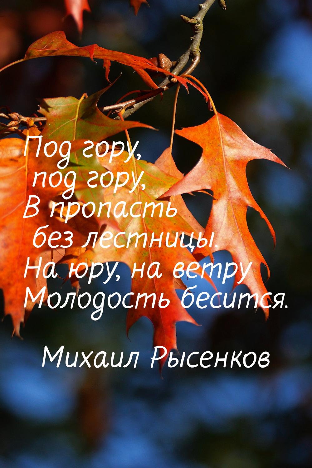 Под гору, под гору, В пропасть без лестницы. На юру, на ветру Молодость бесится.