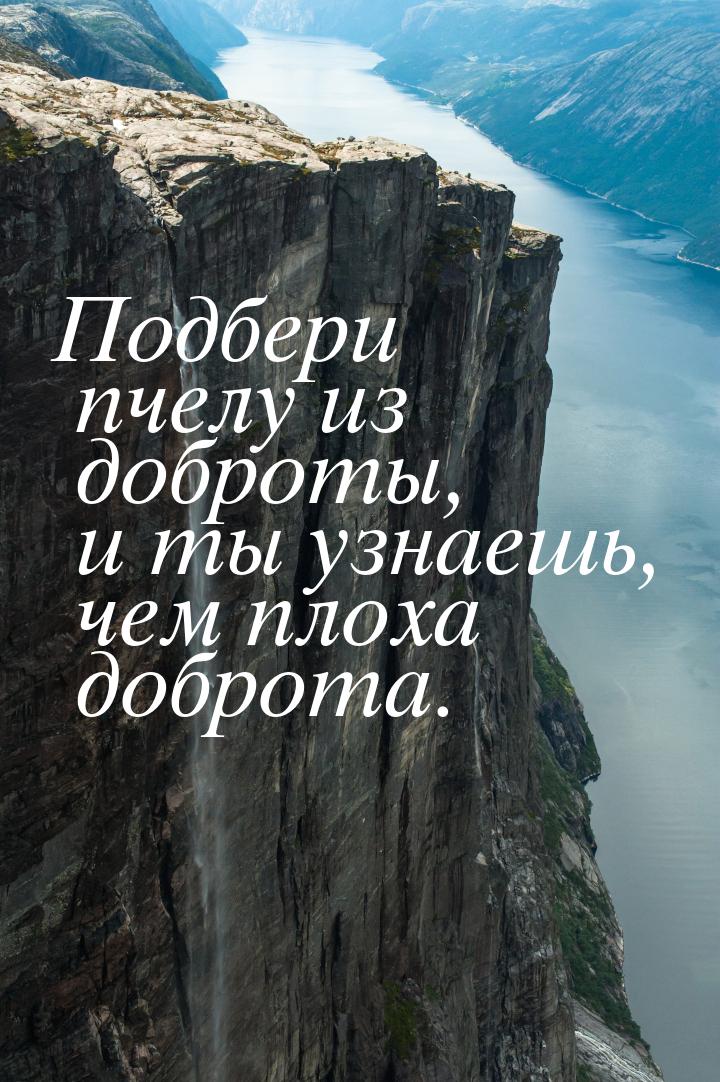 Подбери пчелу из доброты, и ты узнаешь, чем плоха доброта.