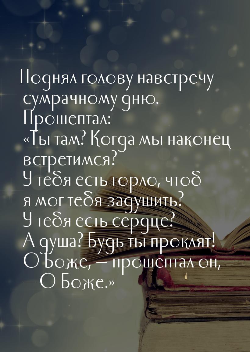 Поднял голову навстречу сумрачному дню. Прошептал: Ты там? Когда мы наконец встрети