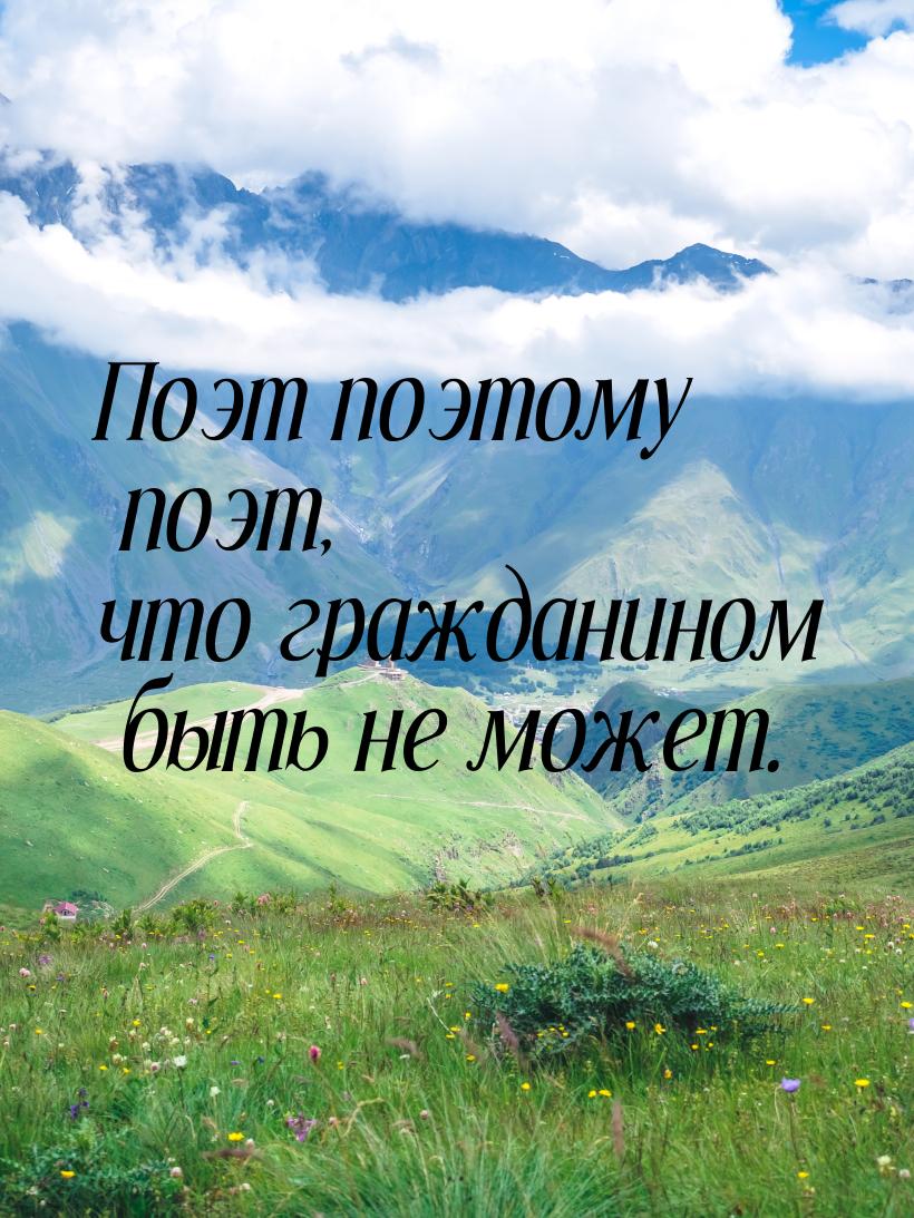 Поэт поэтому поэт, что гражданином быть не может.