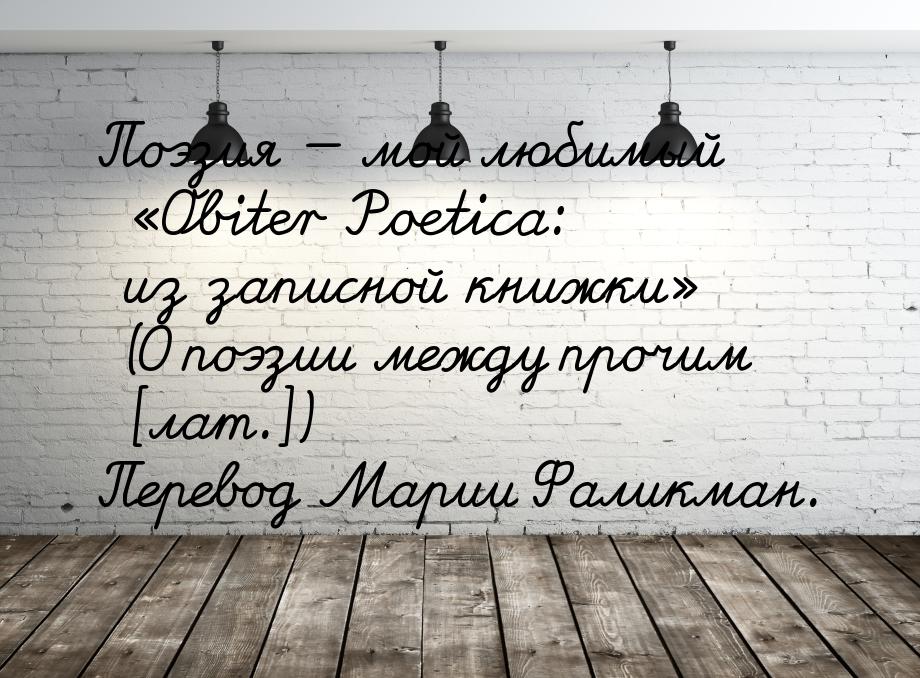 Поэзия  мой любимый «Obiter Рoetica: из записной книжки» (О поэзии между прочим [ла