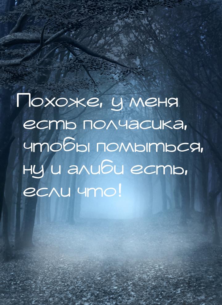 Похоже, у меня есть полчасика, чтобы помыться, ну и алиби есть, если что!