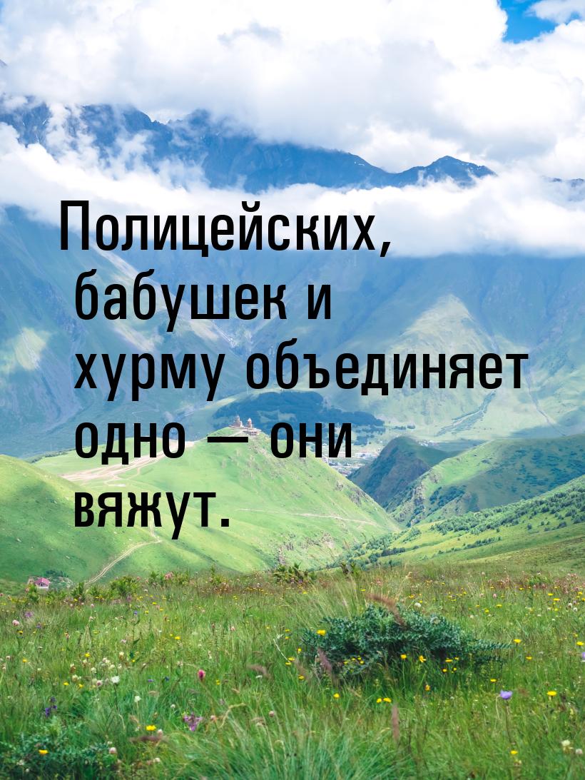 Полицейских, бабушек и хурму объединяет одно  они вяжут.