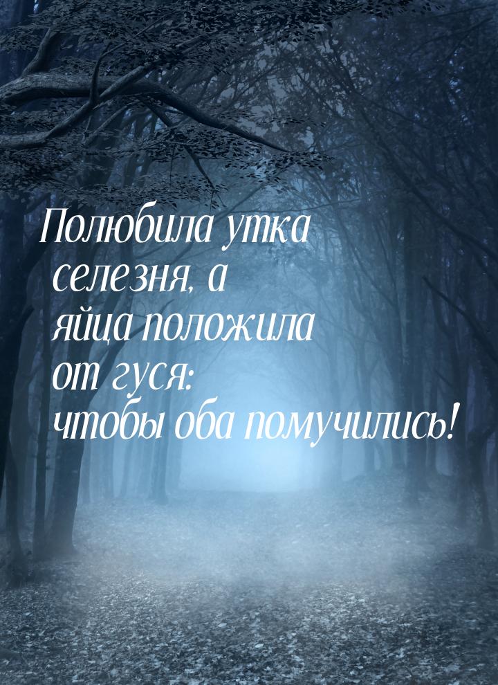 Полюбила утка селезня, а яйца положила от гуся: чтобы оба помучились!