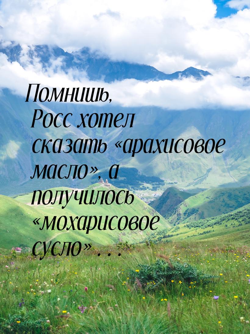 Помнишь, Росс хотел сказать «арахисовое масло», а получилось «мохарисовое сусло»…