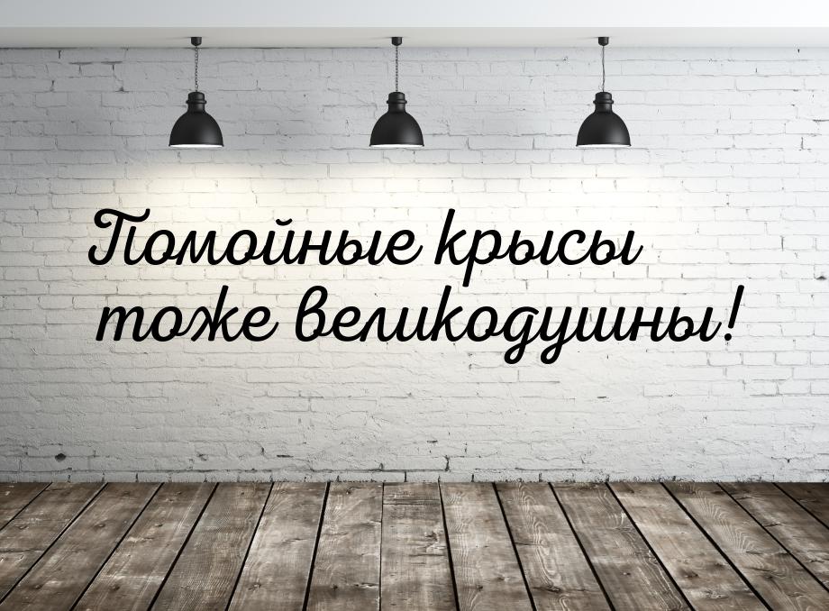 Помойные крысы тоже великодушны!