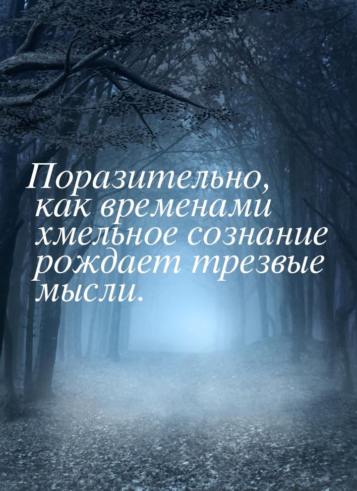 Поразительно, как временами хмельное сознание рождает трезвые мысли.