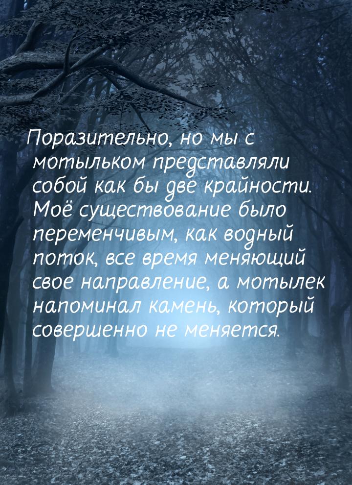 Поразительно, но мы с мотыльком представляли собой как бы две крайности. Моё существование