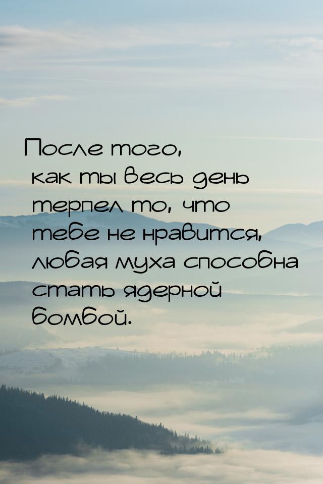 После того, как ты весь день терпел то, что тебе не нравится, любая муха способна стать яд