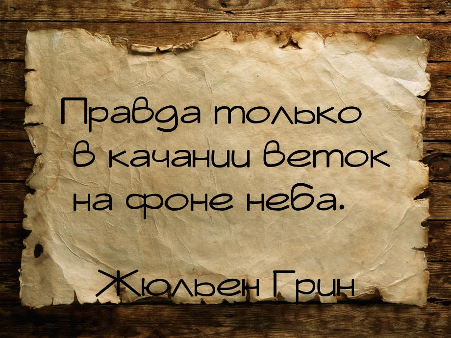 Правда только в качании веток на фоне неба.