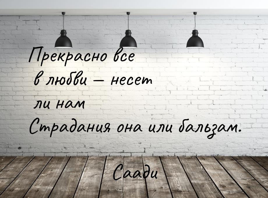 Прекрасно все в любви  несет ли нам Страдания она или бальзам.