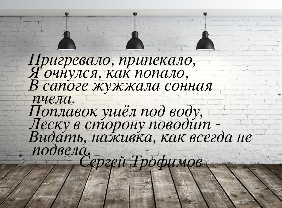 Пригревало, припекало, Я очнулся, как попало, В сапоге жужжала сонная пчела. Поплавок ушёл