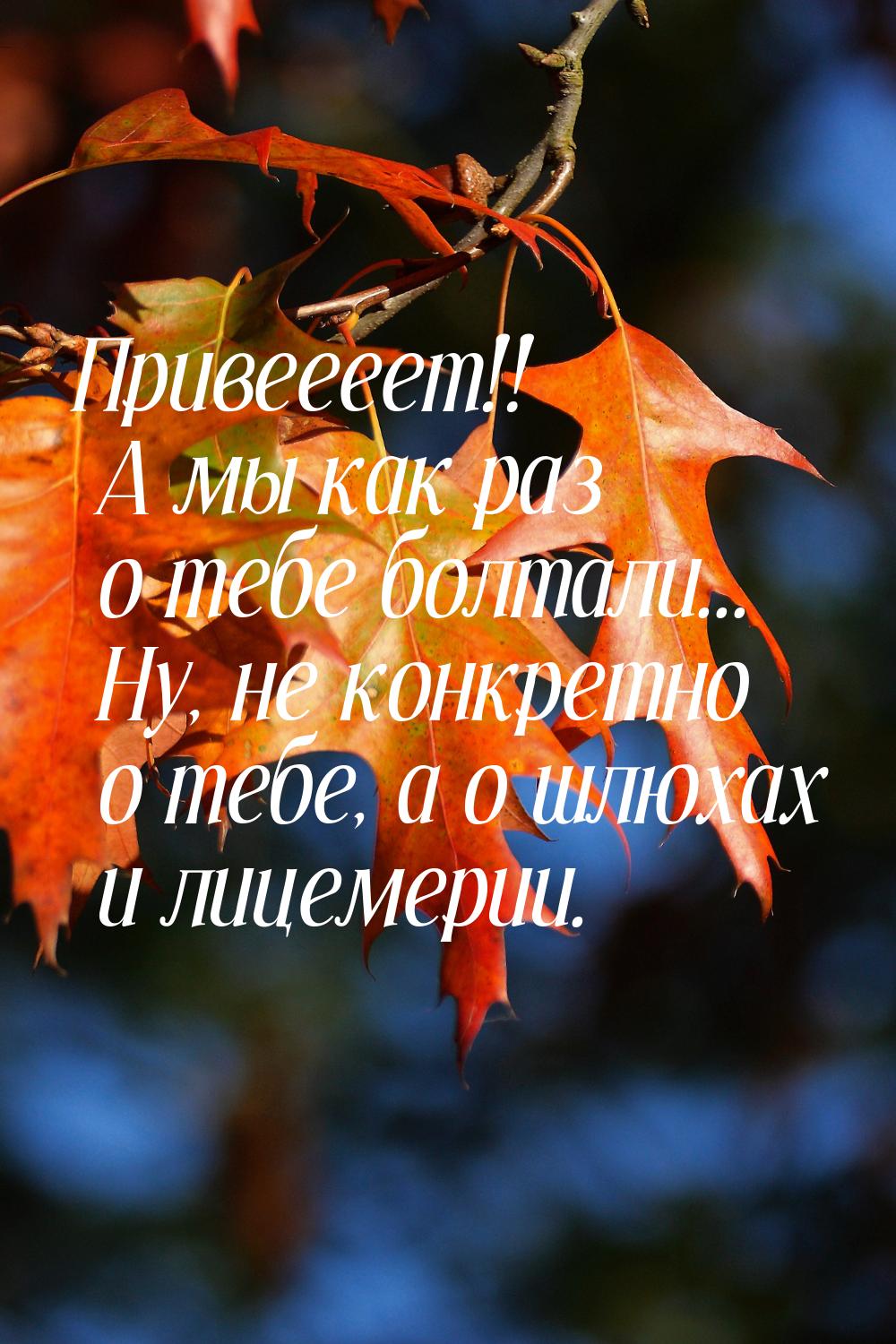 Привеееет!! А мы как раз о тебе болтали... Ну, не конкретно о тебе, а о шлюхах и лицемерии