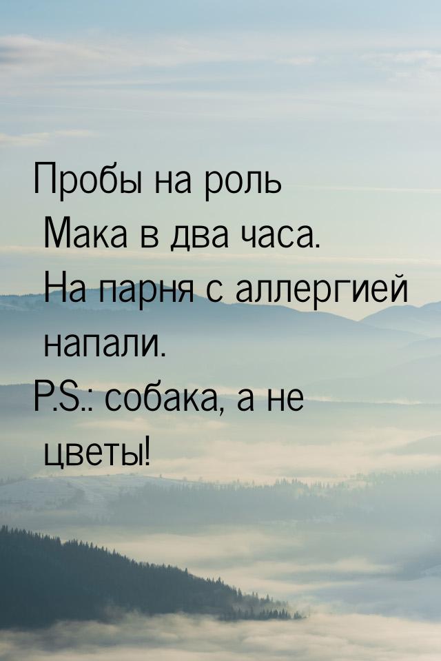 Пробы на роль Мака в два часа. На парня с аллергией напали. P.S.: собака, а не цветы!