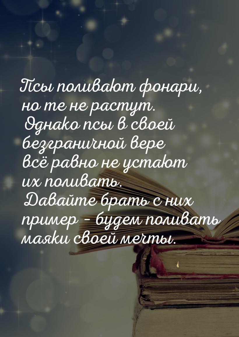 Псы поливают фонари, но те не растут. Однако псы в своей безграничной вере всё равно не ус