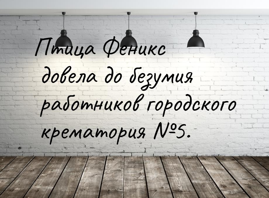 Птица Феникс довела до безумия работников городского крематория №5.