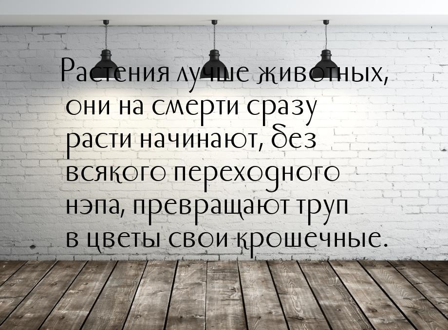 Растения лучше животных, они на смерти сразу расти начинают, без всякого переходного нэпа,