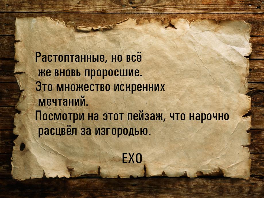 Растоптанные, но всё же вновь проросшие. Это множество искренних мечтаний. Посмотри на это