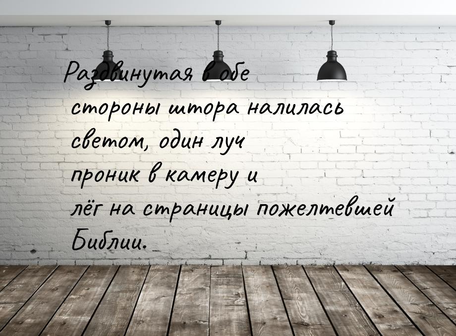 Раздвинутая в обе стороны штора налилась светом, один луч проник в камеру и лёг на страниц