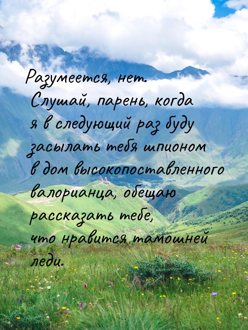 Разумеется, нет. Слушай, парень, когда я в следующий раз буду засылать тебя шпионом в дом 