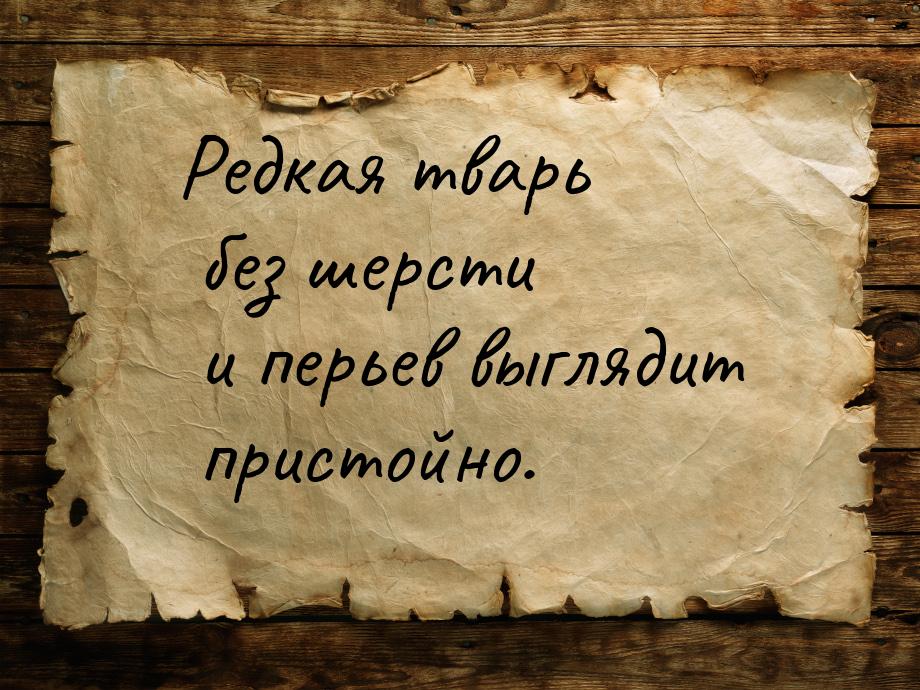 Редкая тварь без шерсти и перьев выглядит пристойно.