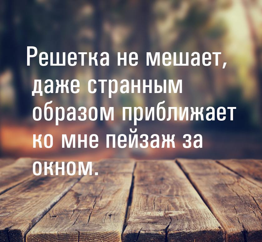 Решетка не мешает, даже странным образом приближает ко мне пейзаж за окном.