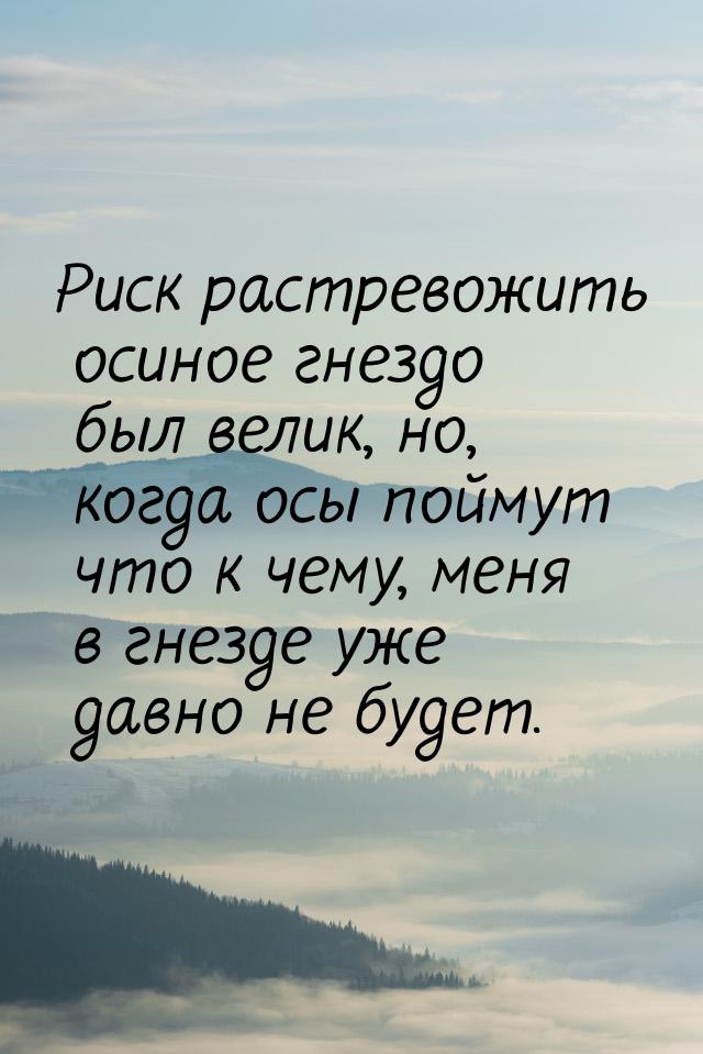 Риск растревожить осиное гнездо был велик, но, когда осы поймут что к чему, меня в гнезде 