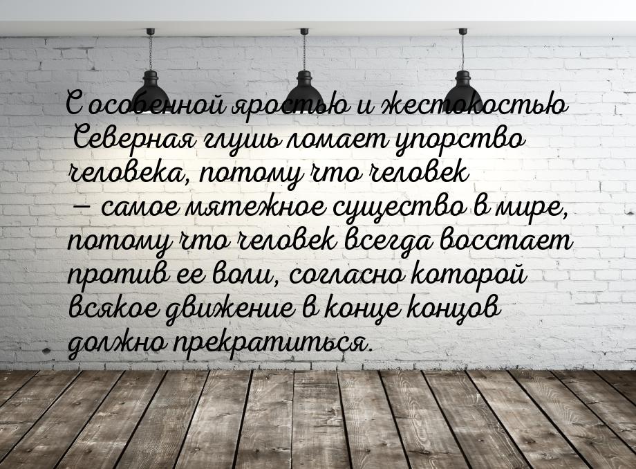 С особенной яростью и жестокостью Северная глушь ломает упорство человека, потому что чело