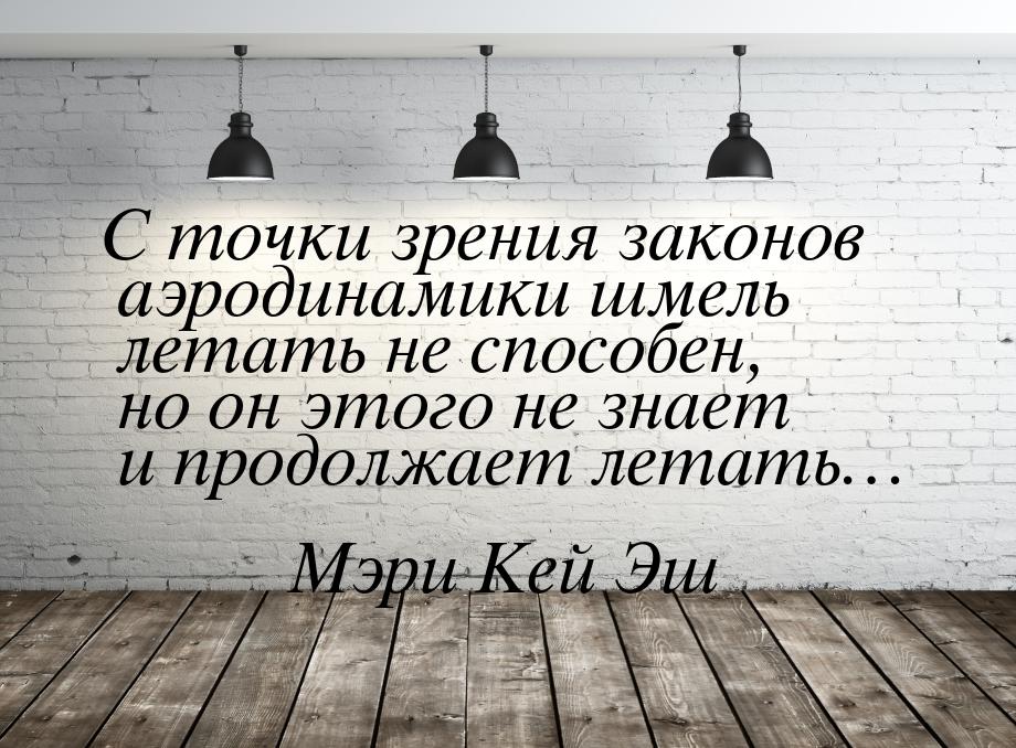 С точки зрения законов аэродинамики шмель летать не способен, но он этого не знает и продо