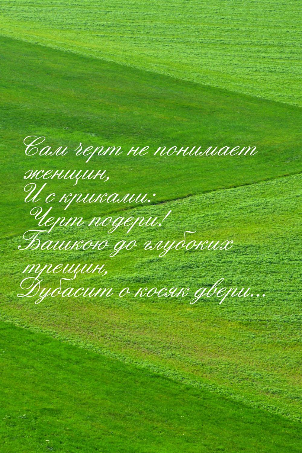 Сам черт не понимает женщин, И с криками: Черт подери! Башкою до глубоких трещин, Дубасит 