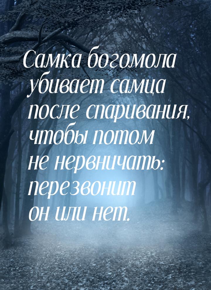 Самка богомола убивает самца после спаривания, чтобы потом не нервничать: перезвонит он ил