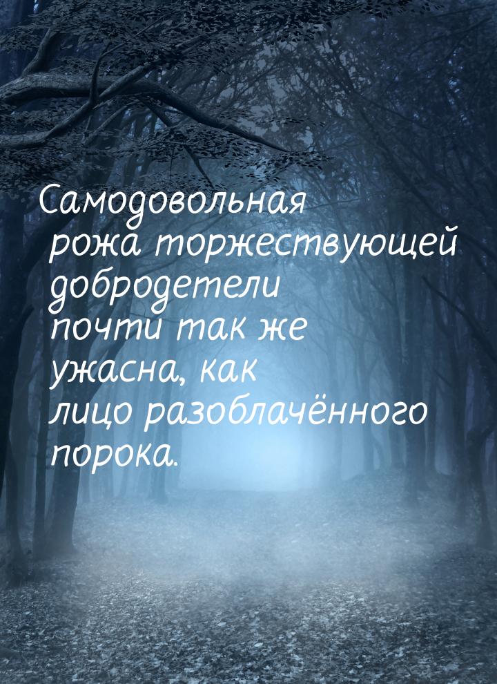 Самодовольная рожа торжествующей добродетели почти так же ужасна, как лицо разоблачённого 