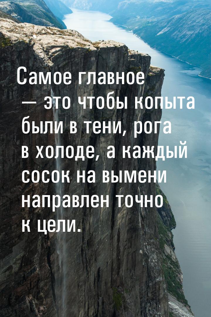 Самое главное  это чтобы копыта были в тени, рога в холоде, а каждый сосок на вымен