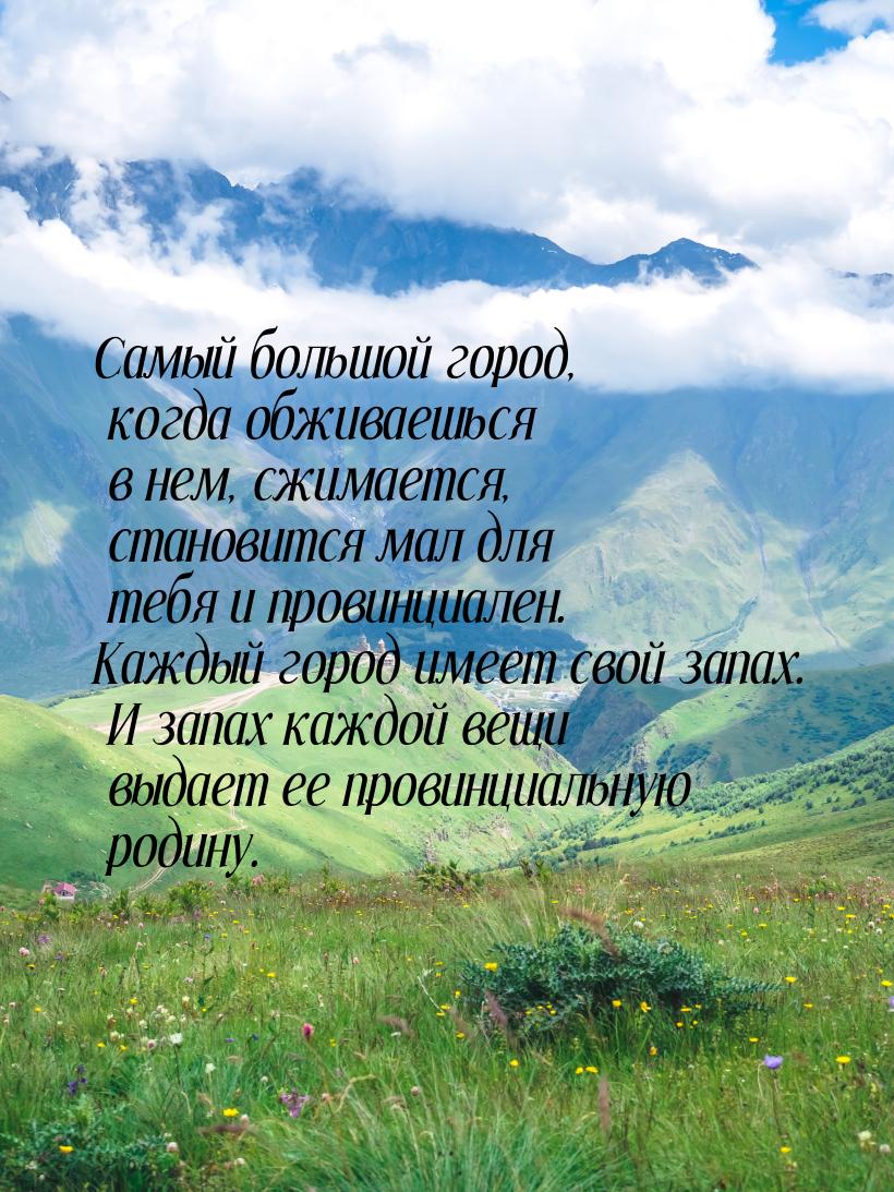 Самый большой город, когда обживаешься в нем, сжимается, становится мал для тебя и провинц