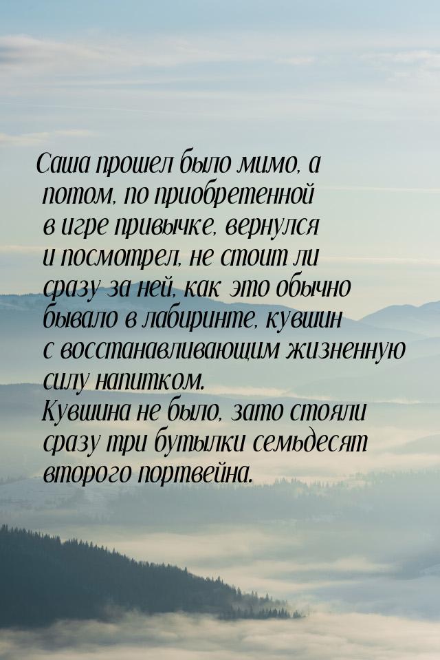 Саша прошел было мимо, а потом, по приобретенной в игре привычке, вернулся и посмотрел, не