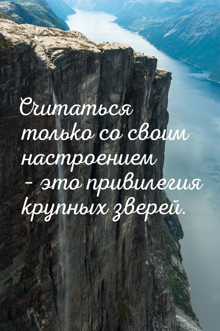 Считаться только со своим настроением – это привилегия крупных зверей.