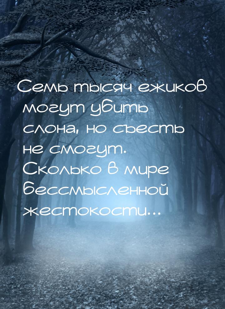 Семь тысяч ежиков могут убить слона, но съесть не смогут. Сколько в мире бессмысленной жес