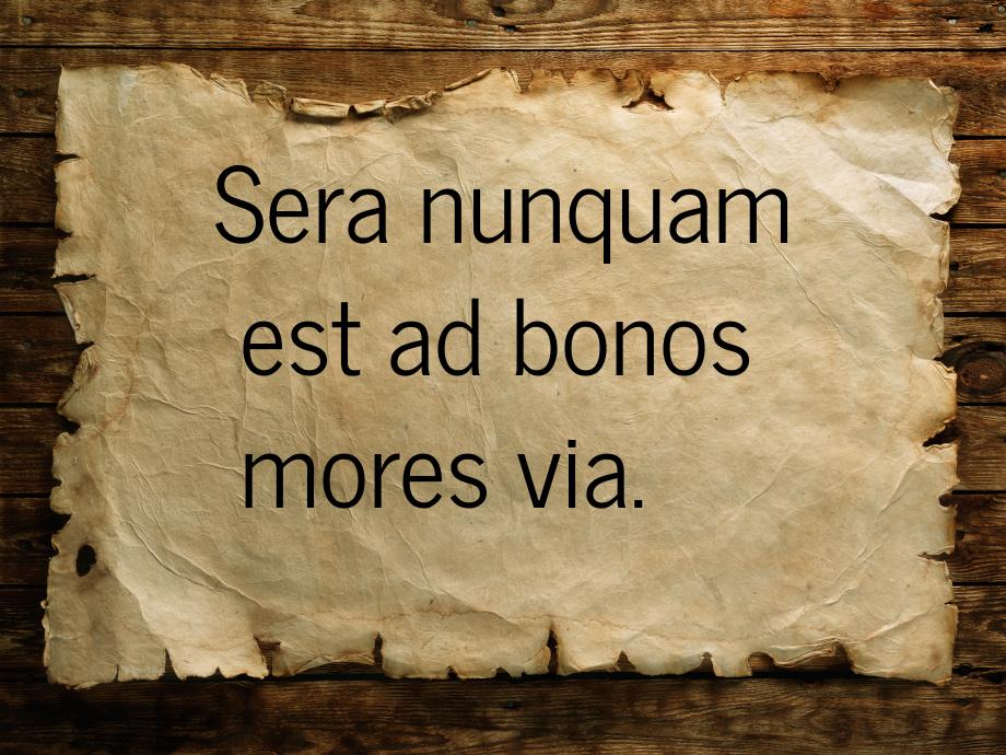 Sera nunquam est ad bonos mores via.