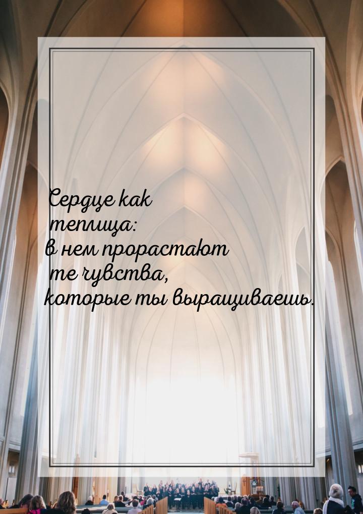 Сердце как теплица: в нем прорастают те чувства, которые ты выращиваешь.