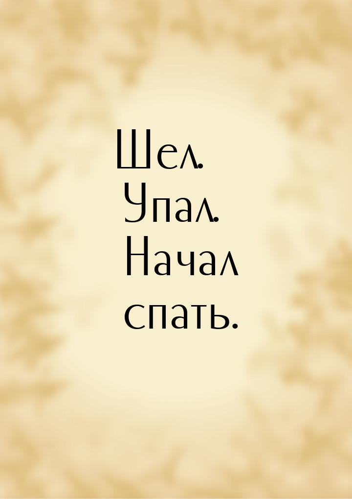 Шел. Упал. Начал спать.