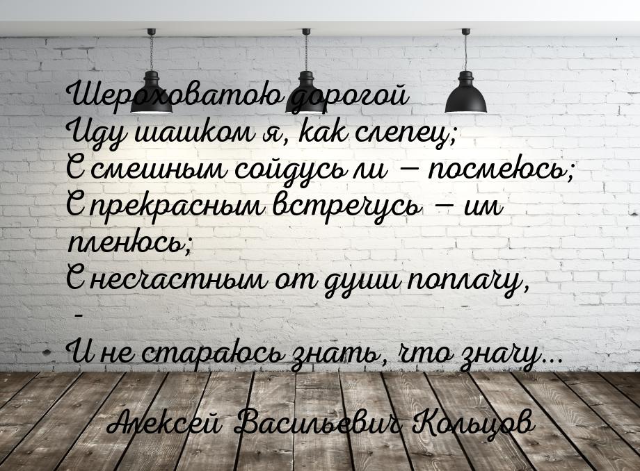 Шероховатою дорогой Иду шашком я, как слепец; С смешным сойдусь ли  посмеюсь; С пре