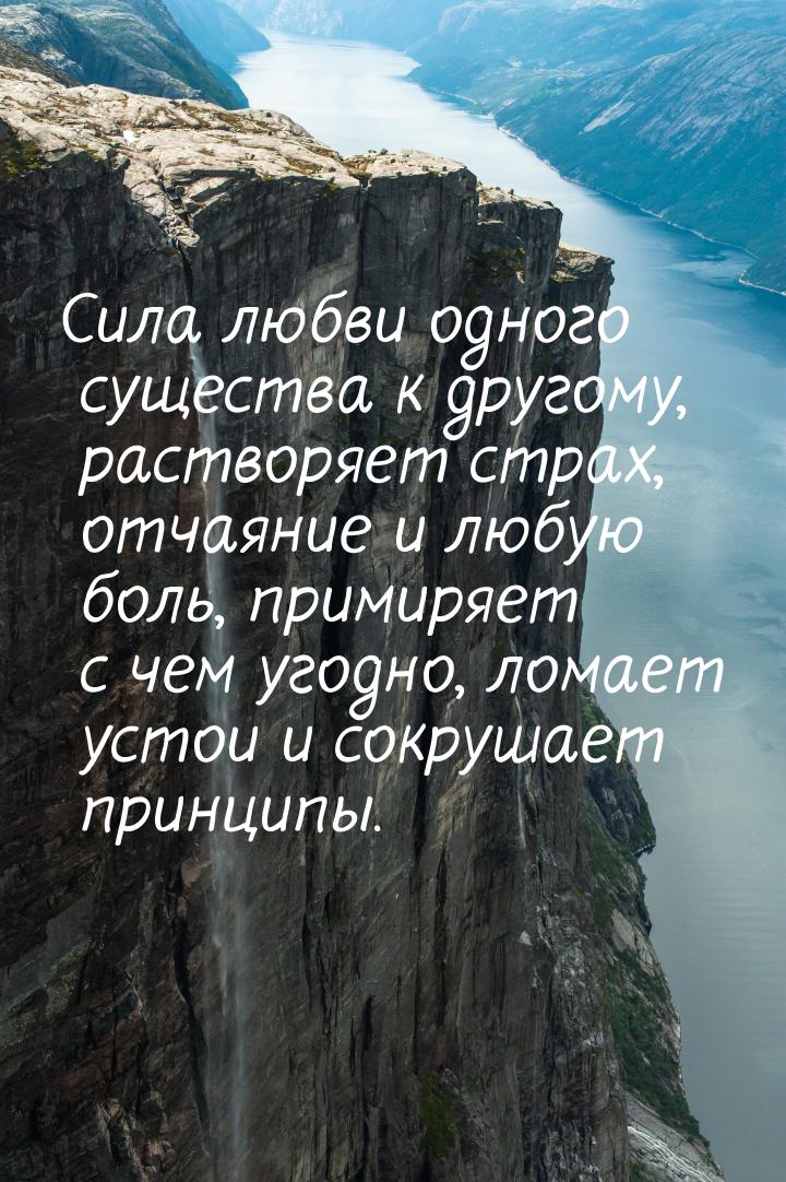 Сила любви одного существа к другому, растворяет страх, отчаяние и любую боль, примиряет с