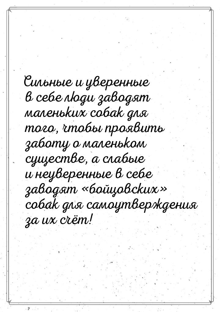 Сильные и уверенные в себе люди заводят маленьких собак для того, чтобы  проявить заботу о