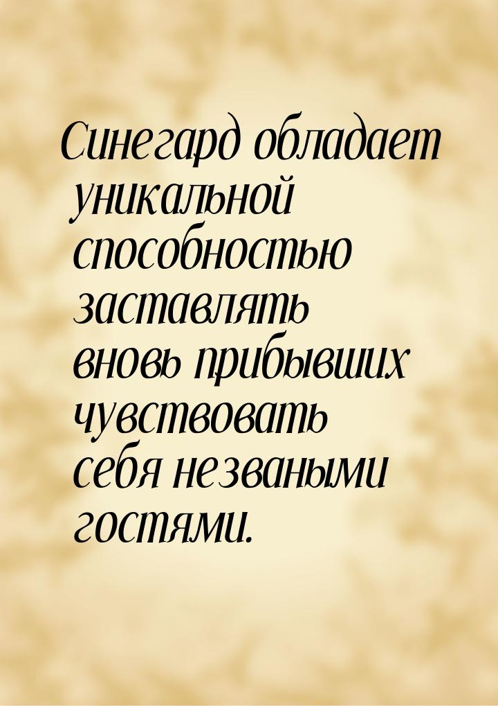 Синегард обладает уникальной способностью заставлять вновь прибывших чувствовать себя незв