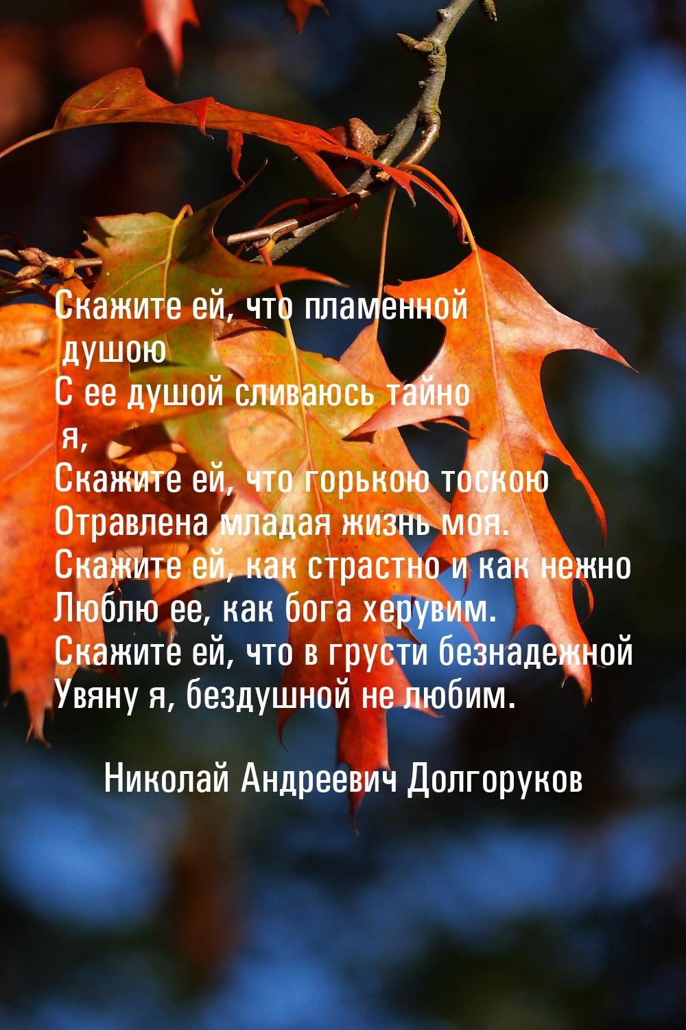 Скажите ей, что пламенной душою С ее душой сливаюсь тайно я, Скажите ей, что горькою тоско