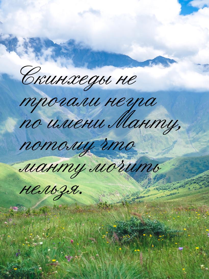 Скинхеды не трогали негра по имени Манту, потому что манту мочить нельзя.