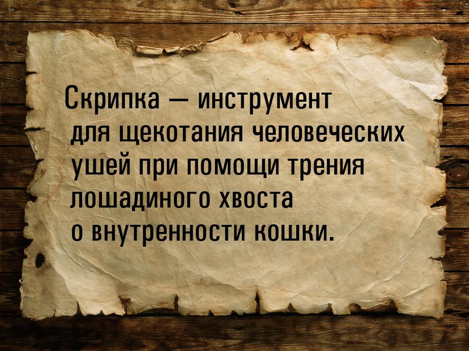 Скрипка  инструмент для щекотания человеческих ушей при помощи трения лошадиного хв